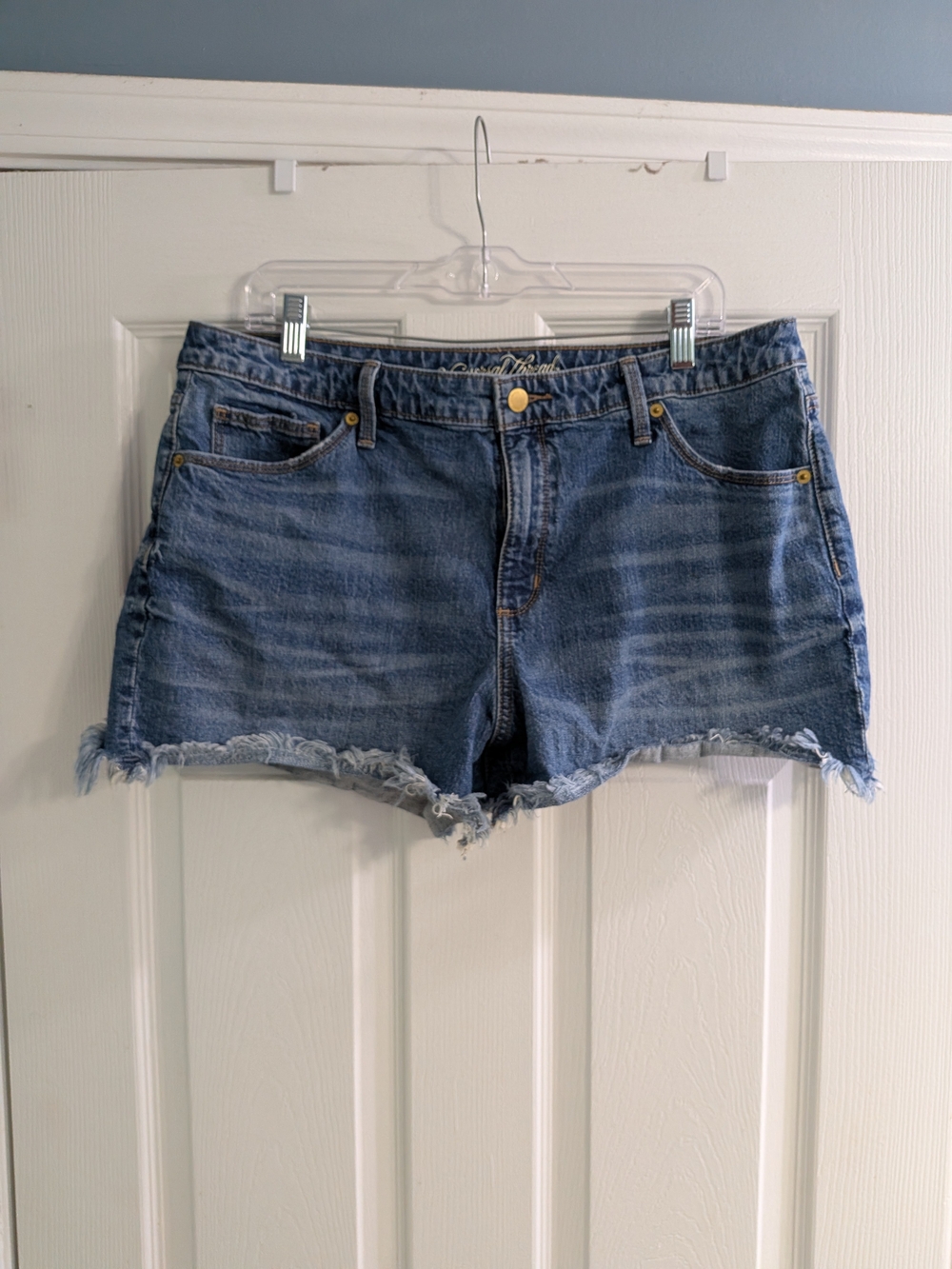 Universal Thread Distressed Denim Shorts
